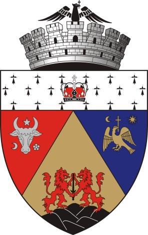 PRIMARIA MUNICIPIULUI ALBA IULIA